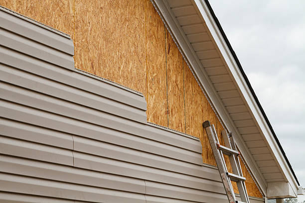 Professional Siding Repair technician working in Port Republic, MD
